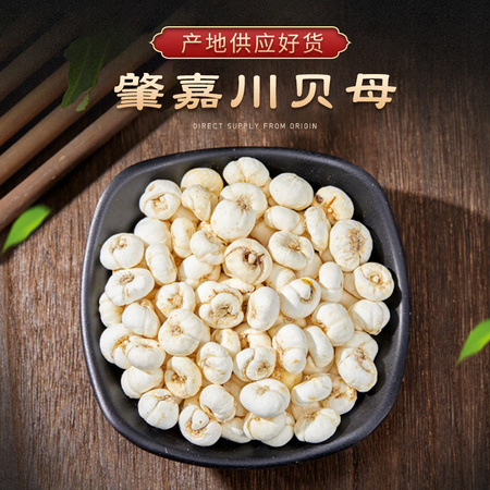 川贝母